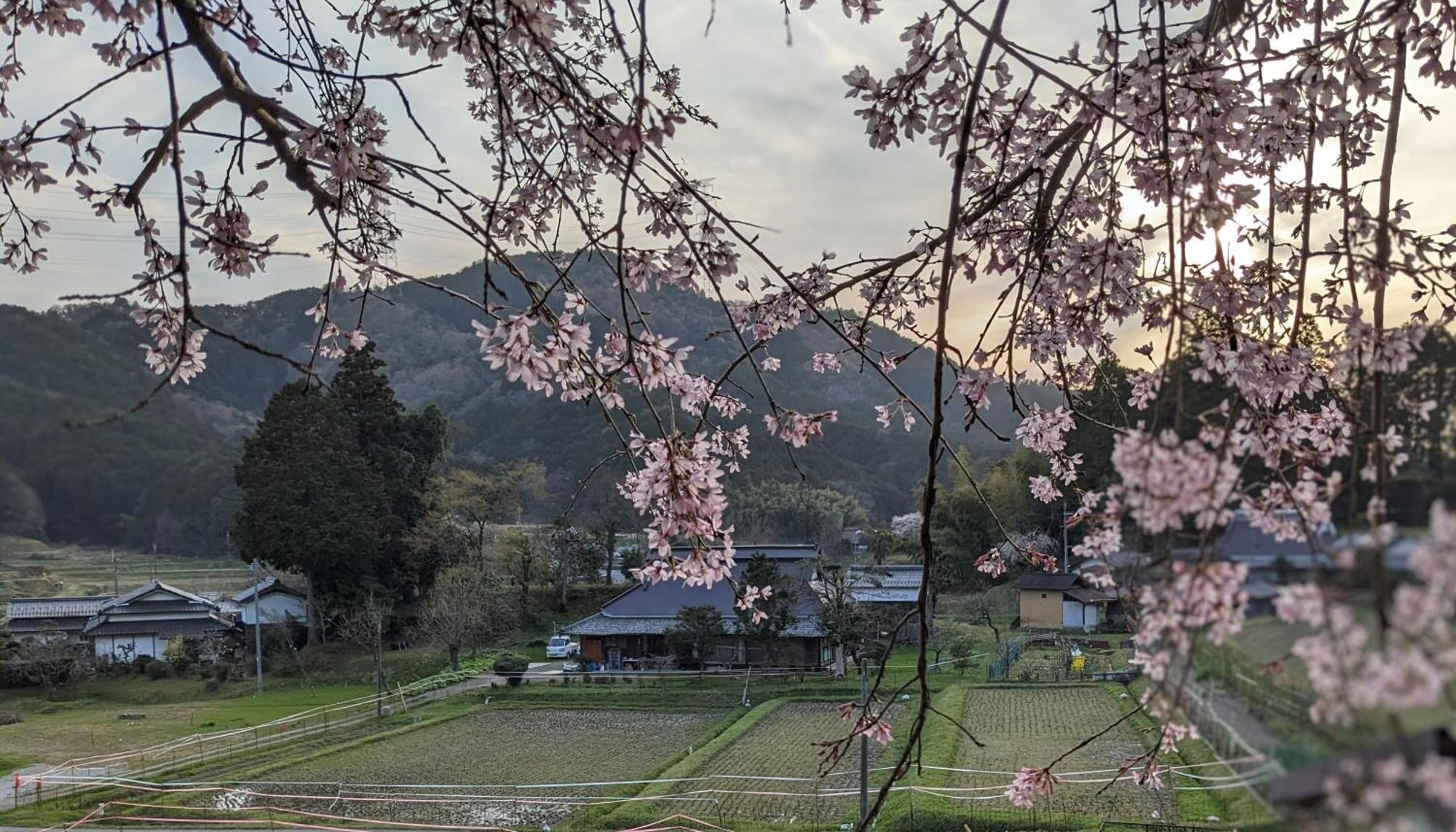 一汁一菜の宿　ちゃぶダイニング Ichiju Issai No Yado Chabu Dining Unforgettable Farmstay Experience In Deep Kyoto Ayabe Экстерьер фото