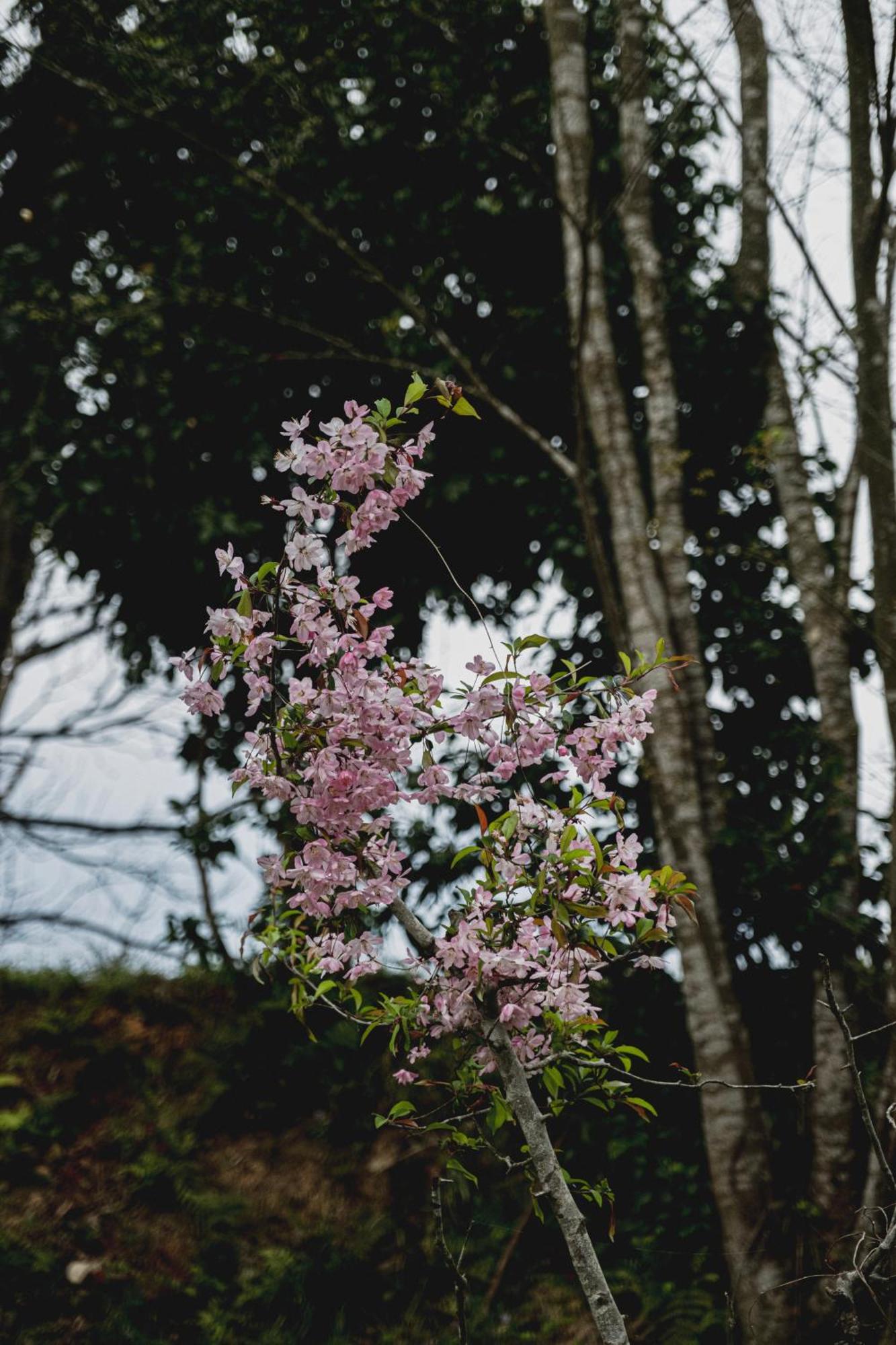 一汁一菜の宿　ちゃぶダイニング Ichiju Issai No Yado Chabu Dining Unforgettable Farmstay Experience In Deep Kyoto Ayabe Экстерьер фото