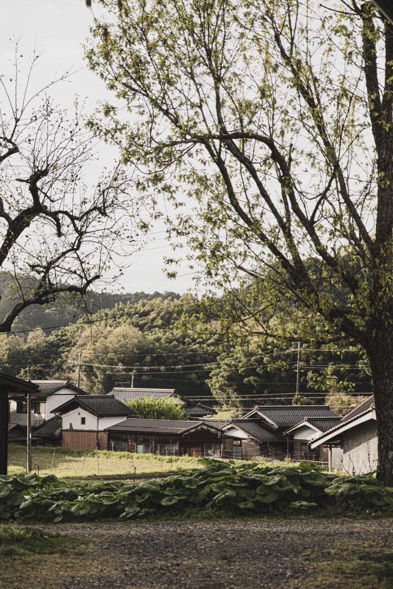 一汁一菜の宿　ちゃぶダイニング Ichiju Issai No Yado Chabu Dining Unforgettable Farmstay Experience In Deep Kyoto Ayabe Экстерьер фото